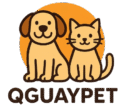 qguaypet tienda de mascotas
